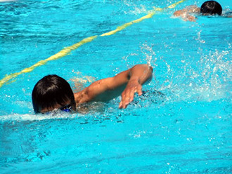 写真：基本泳法