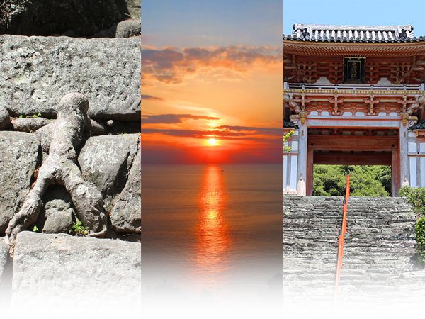 写真左：和歌山城・人の形に見える木の根、写真中：雑賀崎の夕日、写真右：和歌浦天満宮