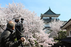 写真2：美しい日本に出会う旅