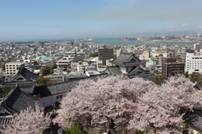 写真3：美しい日本に出会う旅