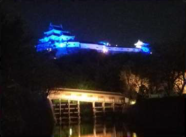 ブルーライトアップされた和歌山城の写真