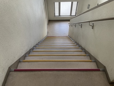 写真：ステップの色