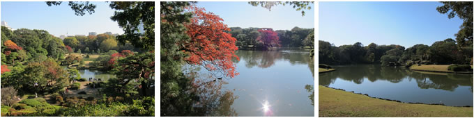 写真：六義園
