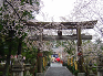 木祭り　令和7年4月6日