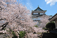 写真5