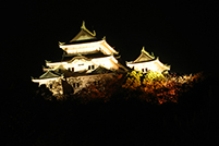 写真1