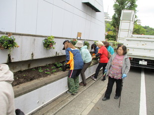 第2回花苗植替6