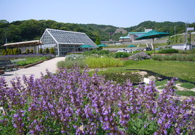 ハーブ園