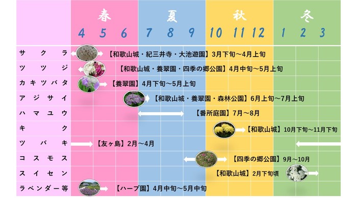 花の見どころ