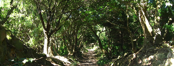 写真：瀬戸内海国立公園　友ヶ島（自然）