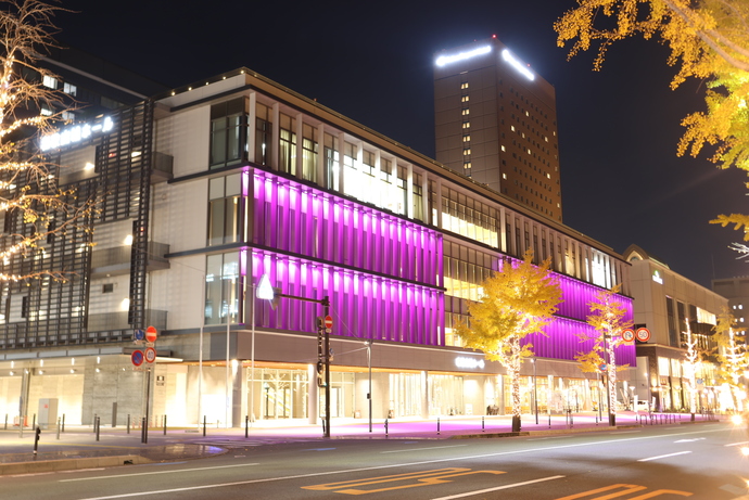 和歌山城ホールライトアップの写真