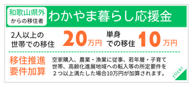 和歌山県外から和歌山市に移住される方へ わかやま暮らし応援金