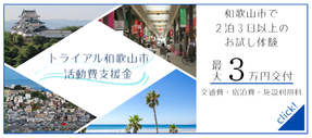 トライアル和歌山市活動費支援金