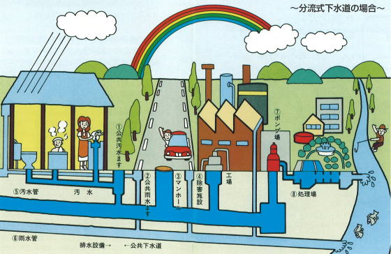 イラスト：分流式下水道のしくみ 