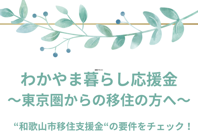 和歌山市移住支援金