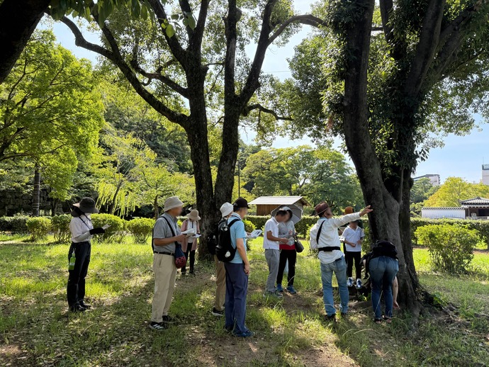 令和7年度9月開催自然観察会