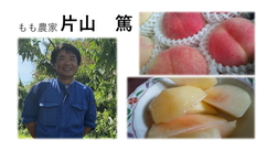 片山さん