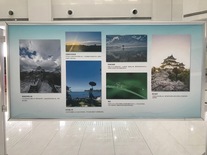 和歌山市写真展2