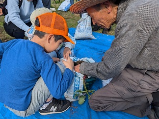 芋ほり体験の様子　2枚目