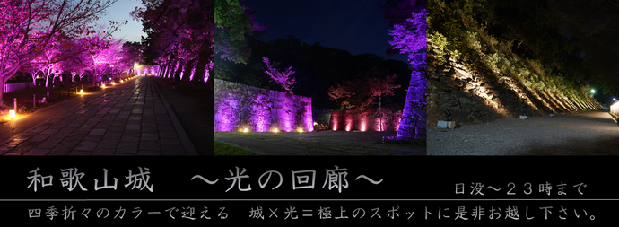 光の回廊