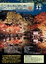 市報わかやま 令和7年11月号　表紙画像
