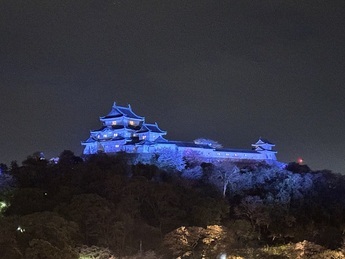 和歌山城ブルーライトアップ