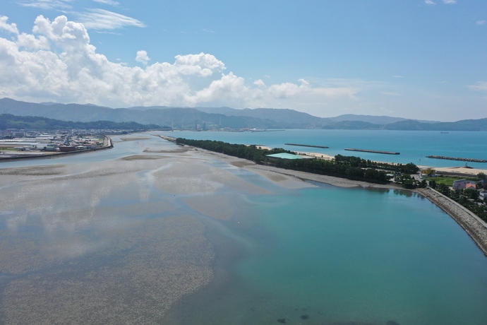 和歌の浦の干潟