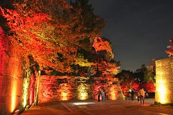 画像1：奏で、彩り、照らす。