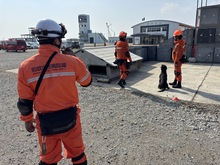 写真：ドッグサーチの様子