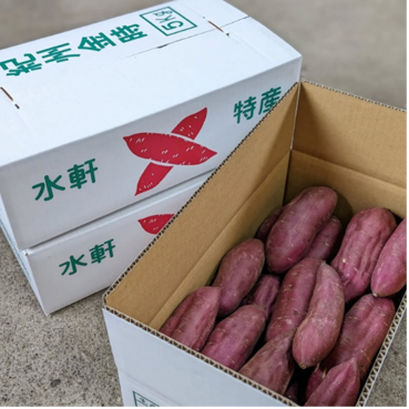 紀州金時（水軒金時）