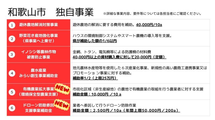 和歌山市 独自事業